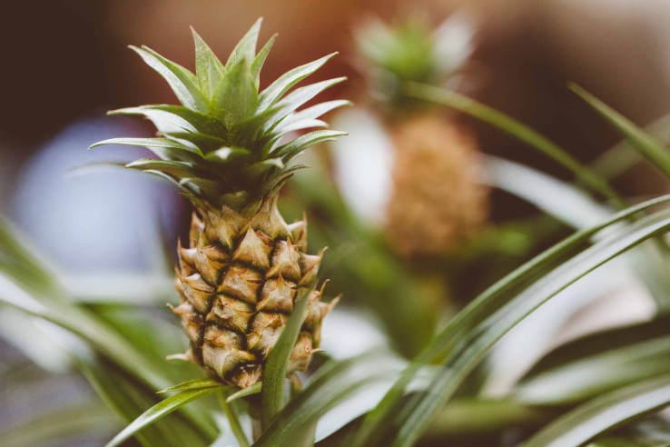 GettyImages 619658870 1