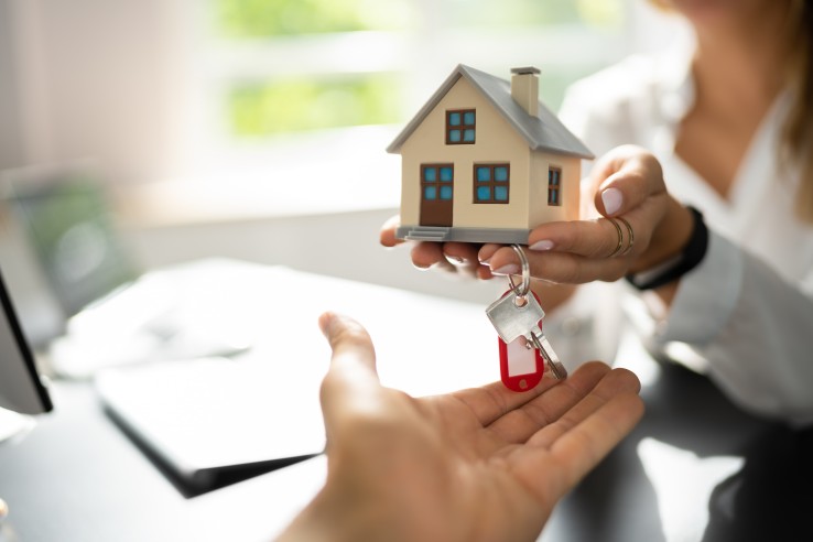 Grundstuecksgewinnsteuer 1