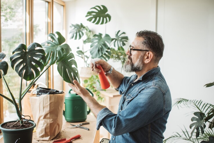 Un homme s'occupe de plusieurs plantes d'intérieur dans un appartement lumineux.