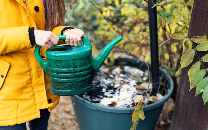 Regenwasser sammeln