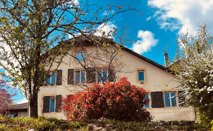 Immeuble ancien rénové avec une façade claire, un exemple de rénovation réussie d'un immeuble ancien.