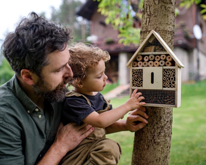 Un père installe avec son enfant un hôtel à insectes destiné aux insectes utiles du jardin.