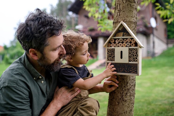 Un père installe avec son enfant un hôtel à insectes destiné aux insectes utiles du jardin.