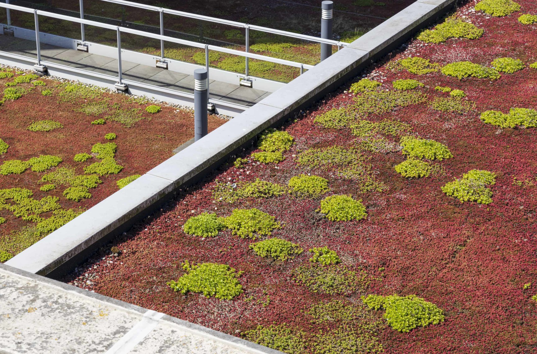 52+ Begrüntes Dach Gartenhaus, Ein begrüntes gartenhausdach ist