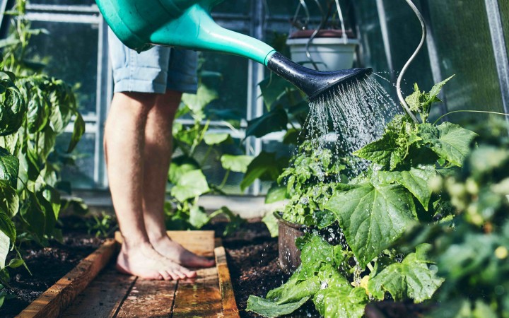 Garten bewaessern klein