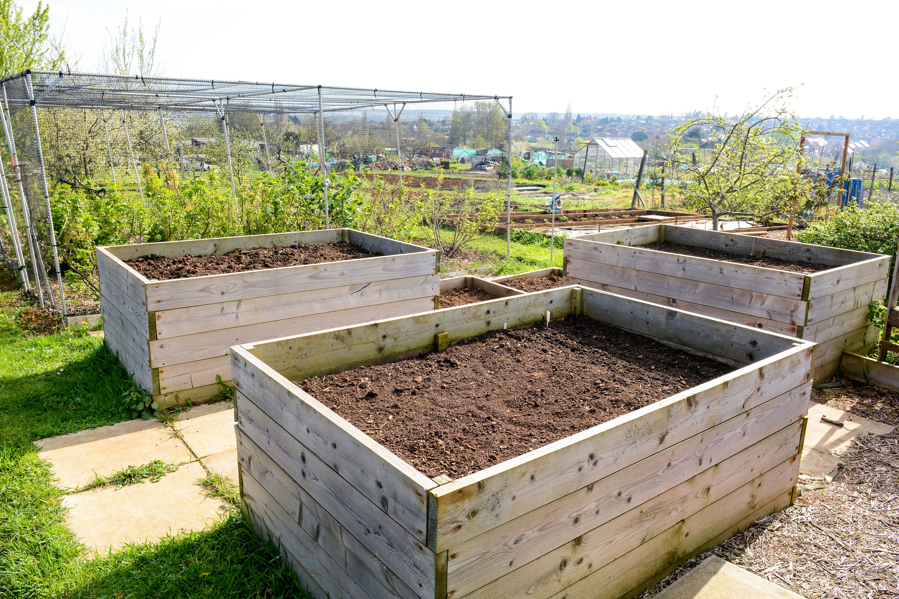 Hochbeet befllen: Erde im Hochbeet richtig schichten