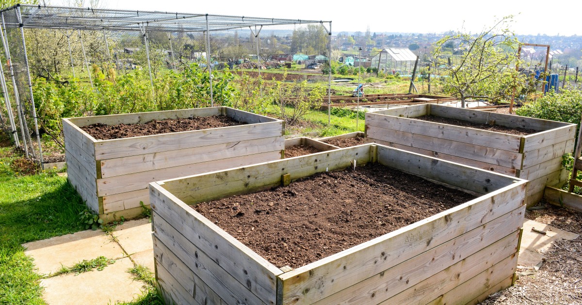Hochbeet befüllen Erde im Hochbeet richtig schichten