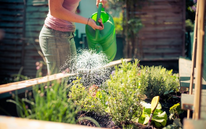 Garten myky Hochbeet bepflanzen