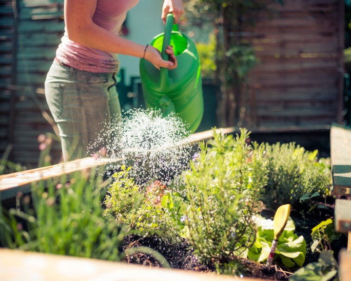 Garten myky Hochbeet bepflanzen