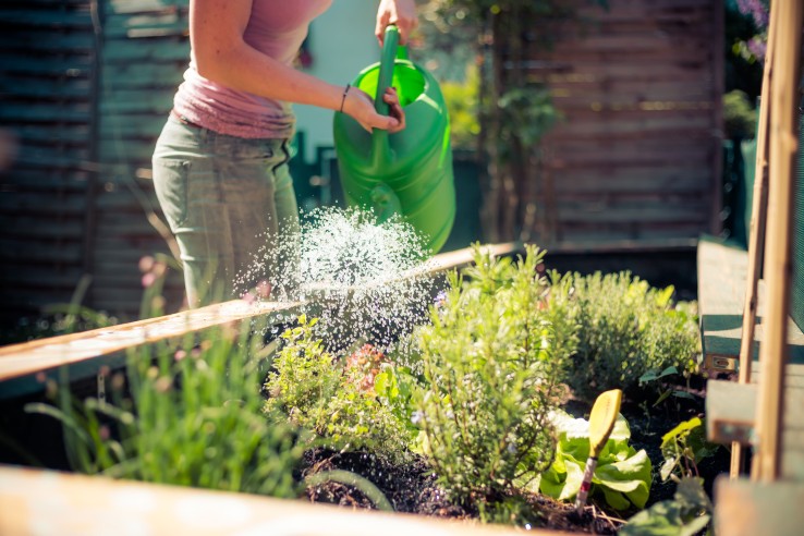Garten myky Hochbeet bepflanzen