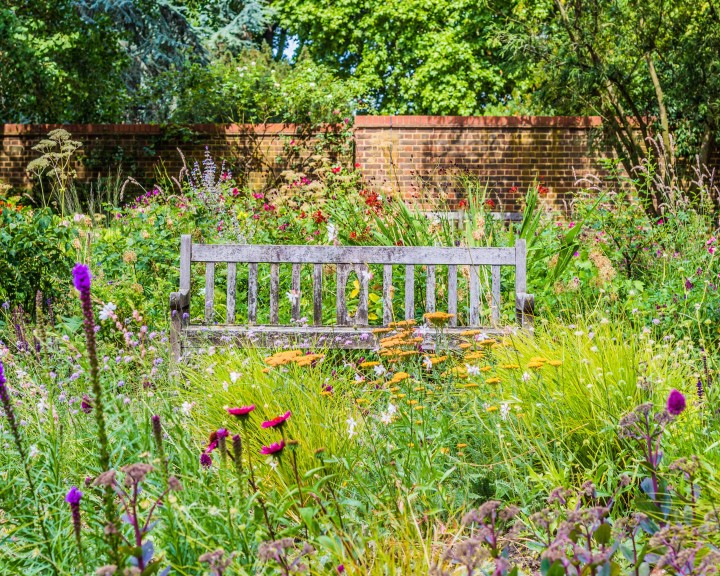 Garten myky Naturgarten