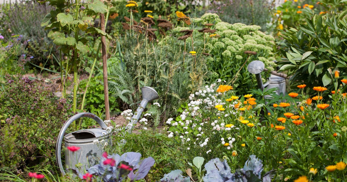 Permakultur: Den Garten nachhaltig bewirtschaften