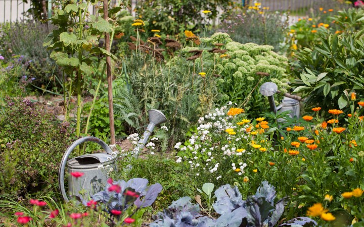 Garten myky Permakultur