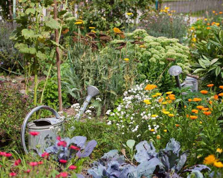 Garten myky Permakultur