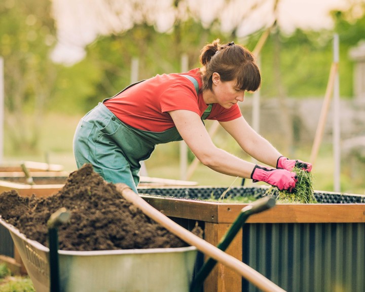 hochbeet befuellen grasschnitt