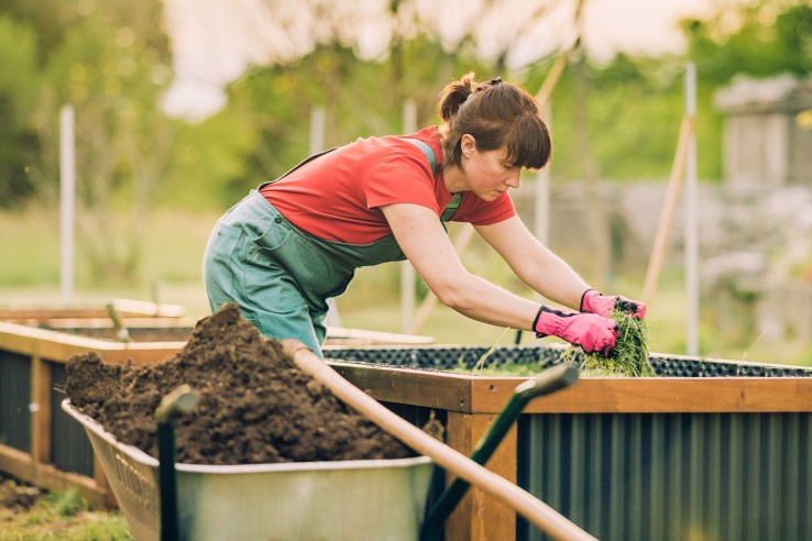 hochbeet befuellen grasschnitt