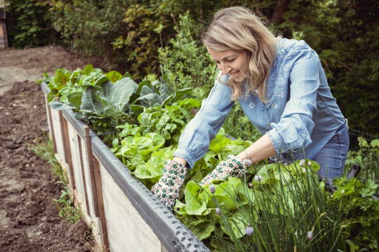 hochbeet bepflanzne 3 myky