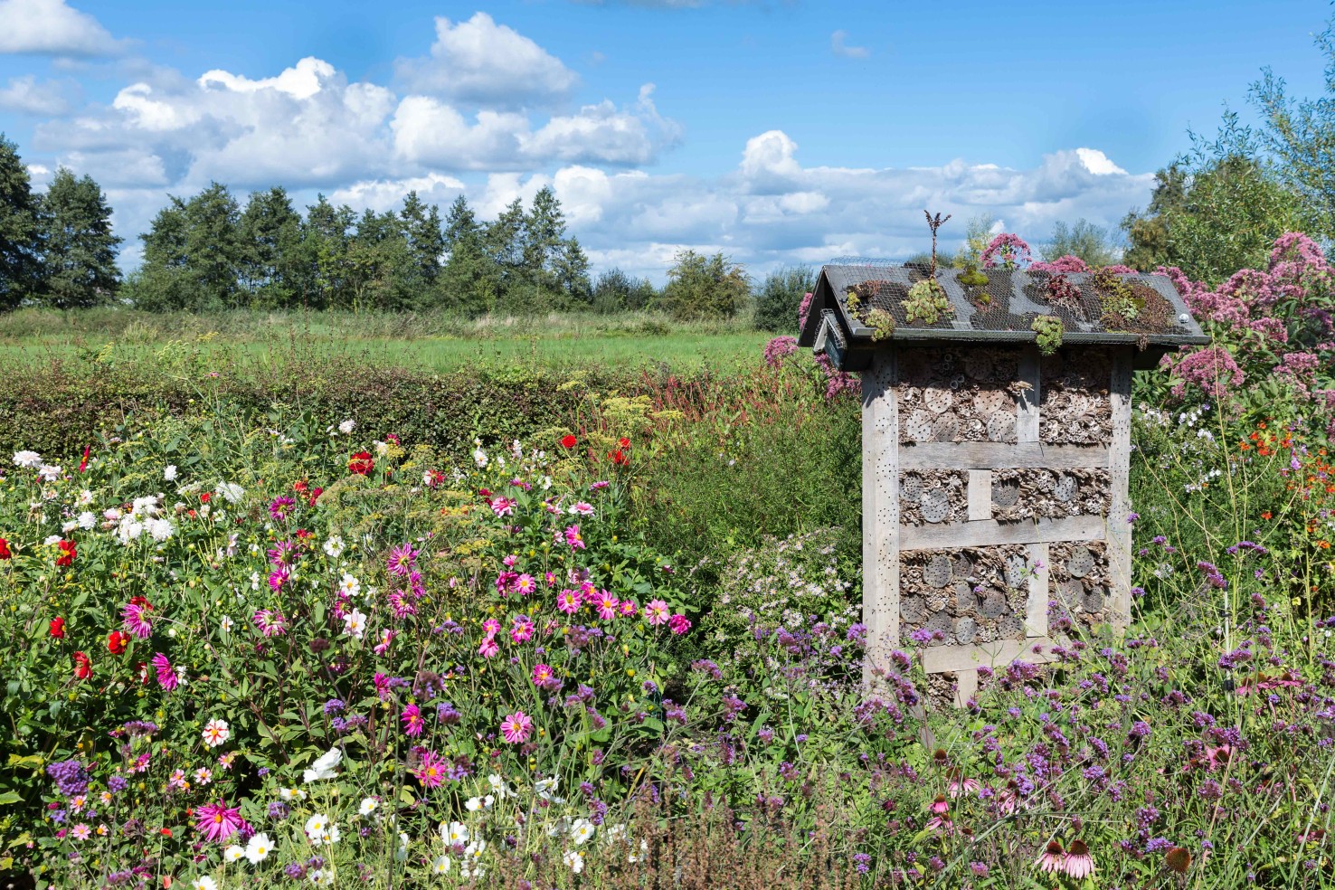 Naturgarten So gestalten Sie Ihren Garten naturnah