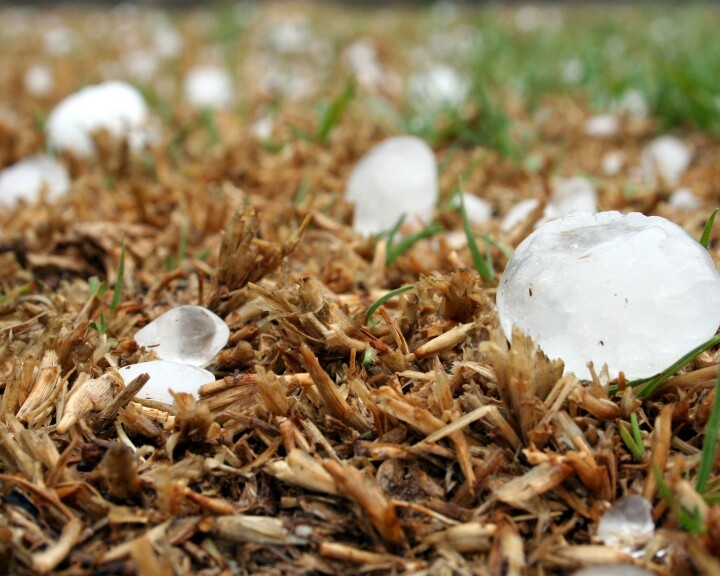 wa hagel