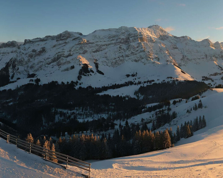 wa schnee