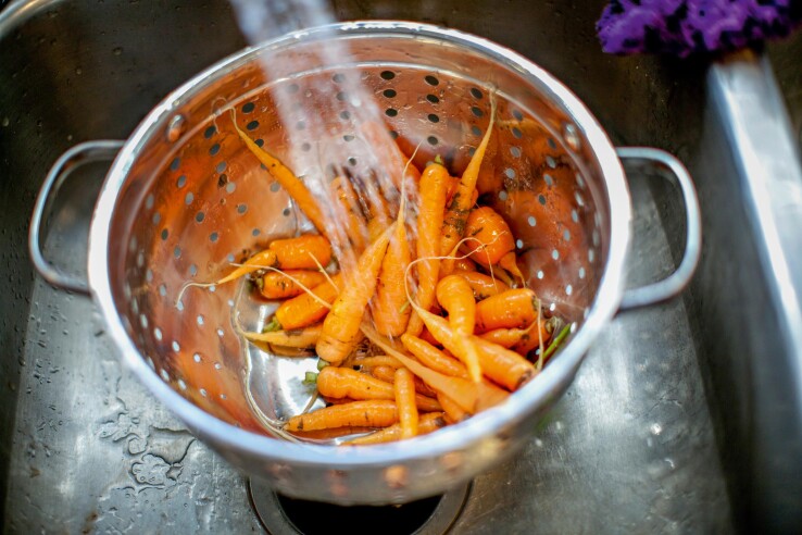 Des carottes fraîches de son propre potager, symbole des travaux du potager.