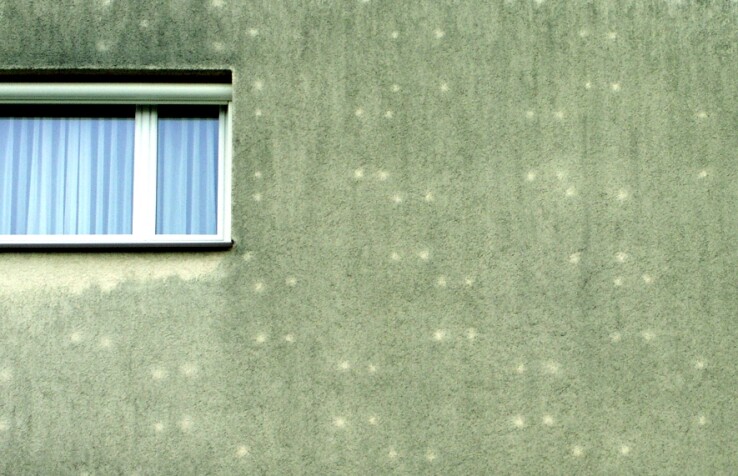 Façade isolée thermiquement présentant des zones ponctuelles exemptes d'algues dues à des ponts thermiques au niveau des chevilles de fixation de l'isolation.