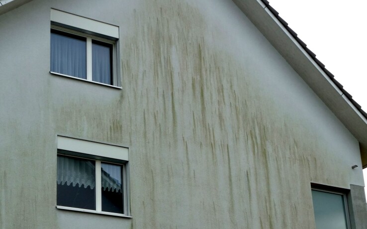 Façade d'une maison recouverte d'algues, présentant des taches verdâtres dues à l'humidité et à la prolifération d'algues.