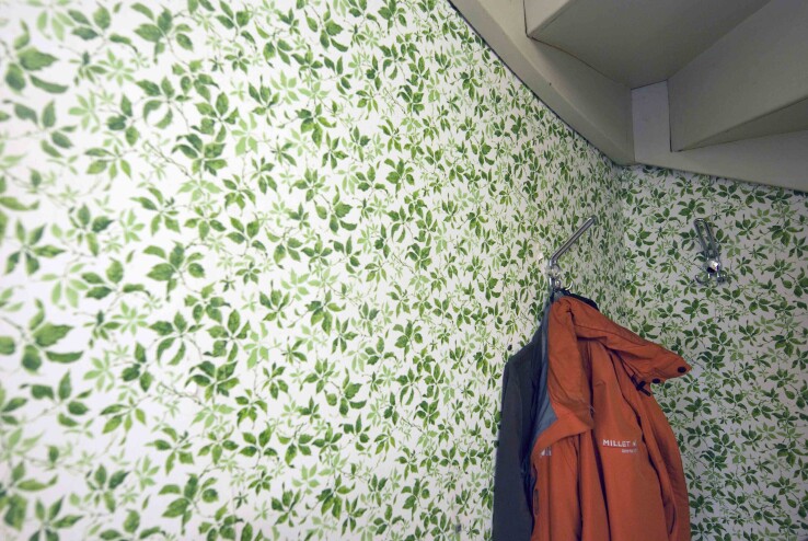 Un papier peint historique à motifs verts dans l'entrée d'une maison mitoyenne rénovée.