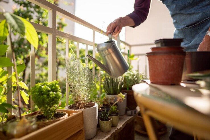 Person giesst Pflanzen auf einem sonnigen Balkon mit Kräutern und Blumentöpfen.