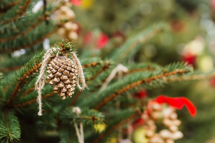 Décorations de Noël en pommes de pin
