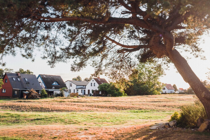 Des maisons individuelles dans un quartier résidentiel, symbole de la transmission du logement en propriété en Suisse, avec devant une prairie où se dresse un grand arbre...
