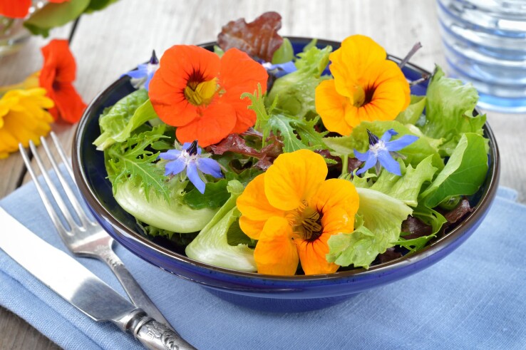 Salade colorée avec des fleurs comestibles de capucine, de bourrache et de laitue, servie dans un saladier.