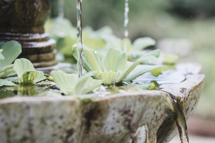 Aménager son jardin selon le Feng Shui