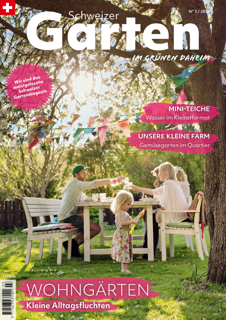 Cover März 2026