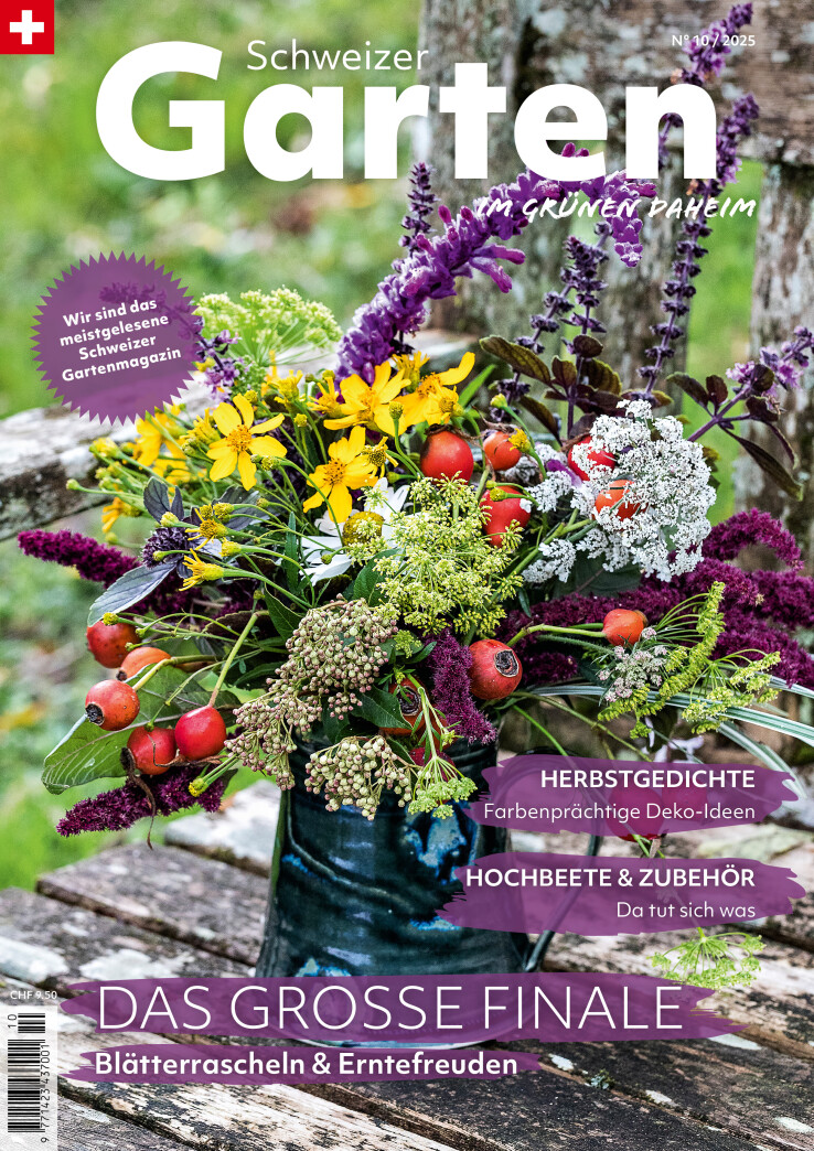 Gartenarbeiten Oktober 2025 Cover