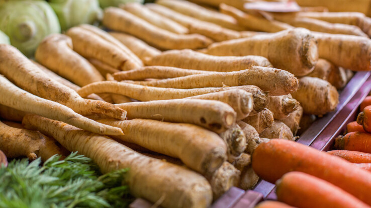 Des panais sur un étal de marché, tout près de chez vous, des légumes-racines frais