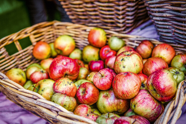 fruits de garde