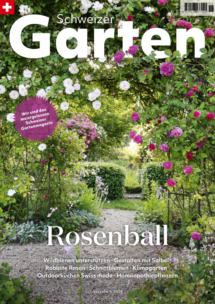 Schweizer Garten Juni 2026