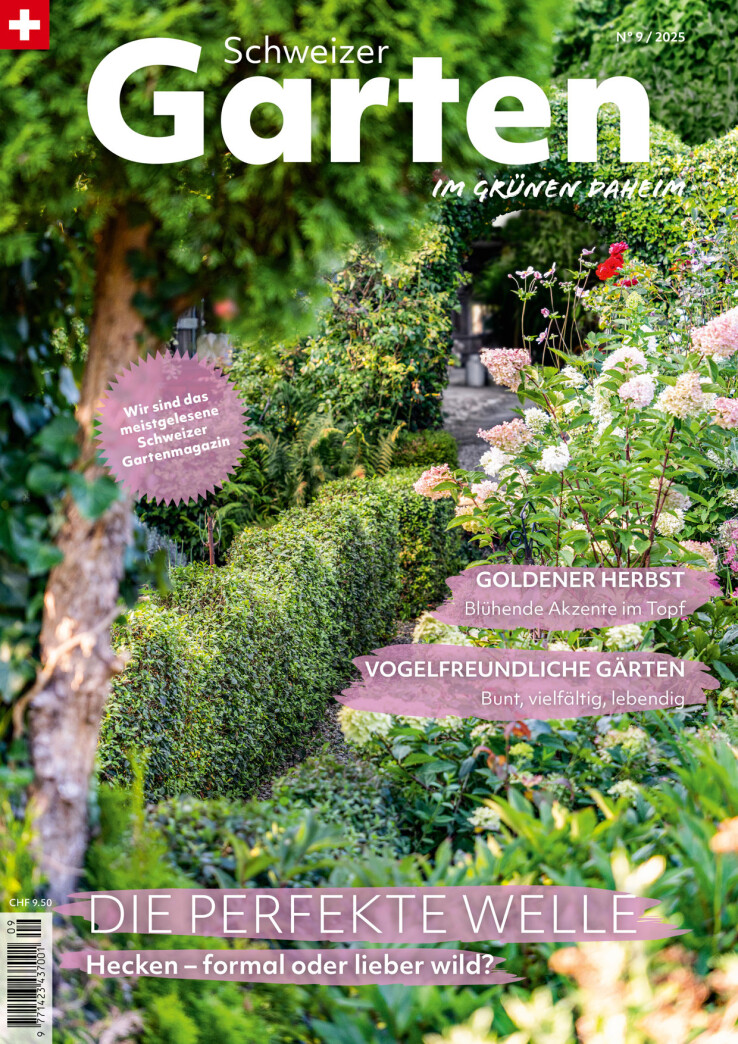 Gartenarbeiten – September 2025