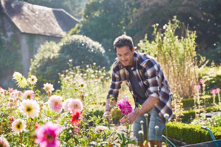Un jardinier s'occupe des fleurs estivales en pleine floraison dans le jardin d'une maison individuelle en Suisse.