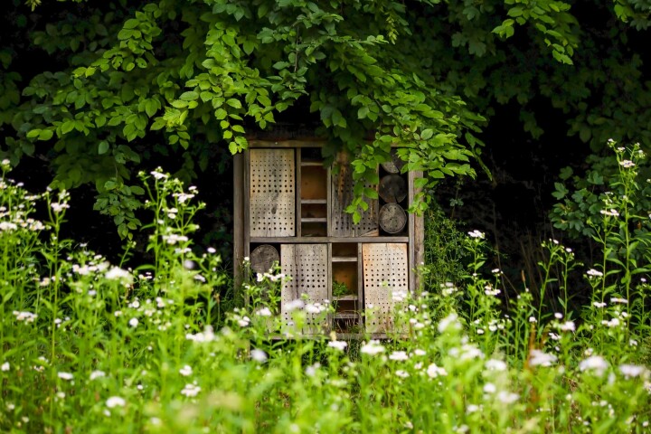 Un hôtel à insectes situé dans une prairie de fleurs sauvages favorise la présence des abeilles sauvages et d'autres insectes utiles dans un jardin naturel.