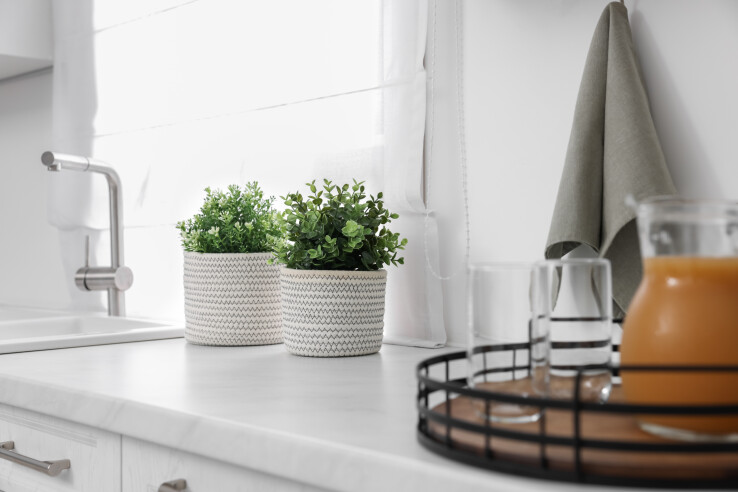 Embellir sa cuisine : les plantes