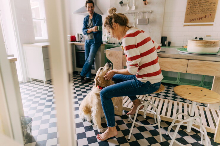 Un chien dans un appartement en location, avec ses maîtres, dans la cuisine