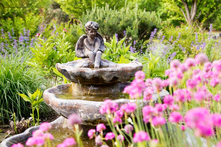 Une composition aquatique avec une fontaine et des plantes vivaces à fleurs, comme élément d'aménagement dans un jardin naturel.