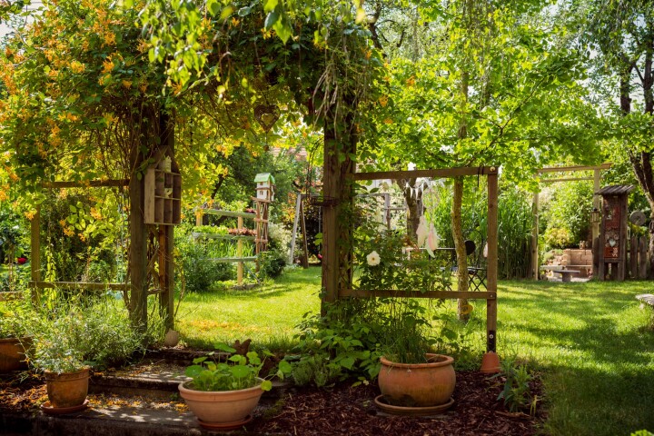 Un jardin proche de la nature, avec des arbres, des fleurs et des espaces verts ouverts, favorisant la biodiversité.