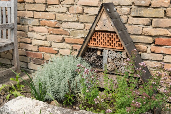 Un hôtel à abeilles sauvages installé devant un mur en pierre naturelle offre un habitat précieux aux insectes pollinisateurs.