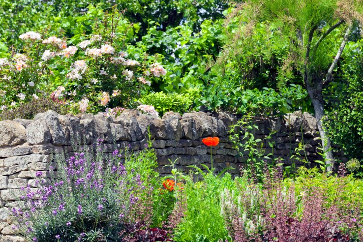 Jardin naturel avec un mur en pierres sèches, des plantes locales et des vivaces à fleurs, servant d'habitat aux animaux et aux insectes.