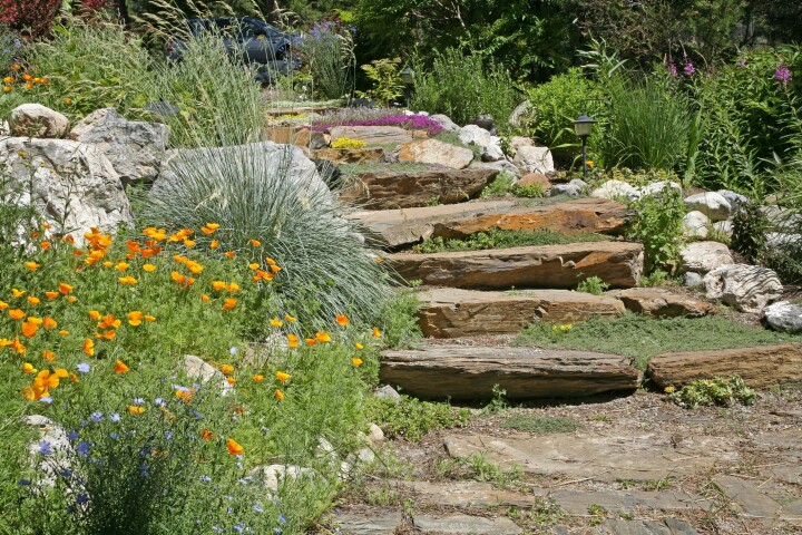 Allée en pierre naturelle agrémentée de plantes à fleurs et d'arbustes dans un jardin aménagé dans un style proche de la nature.