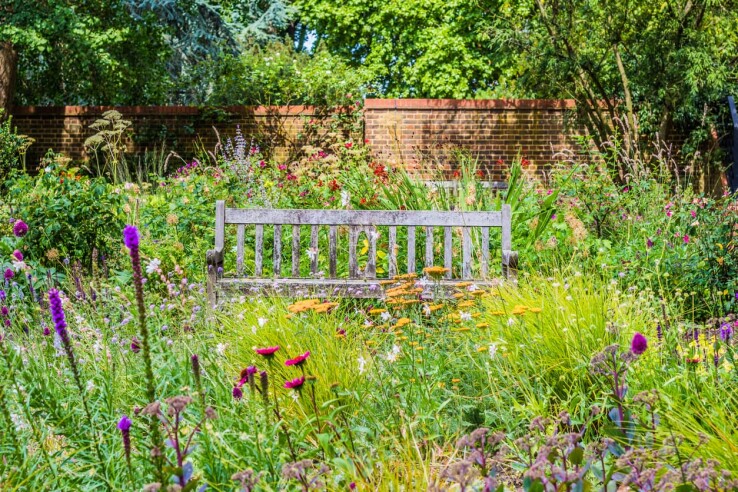 Le jardin naturel offre des habitats naturels et précieux sur le plan écologique