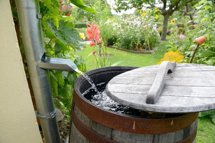 Un réservoir d'eau de pluie raccordé à un tuyau de descente recueille l'eau de pluie pour arroser un jardin fleuri.